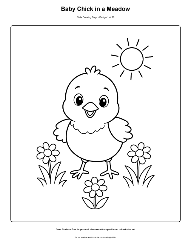 Preview of an original bird coloring page