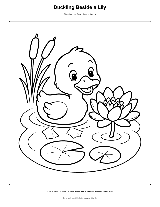Duckling Beside a Lily printable bird coloring page for kids.