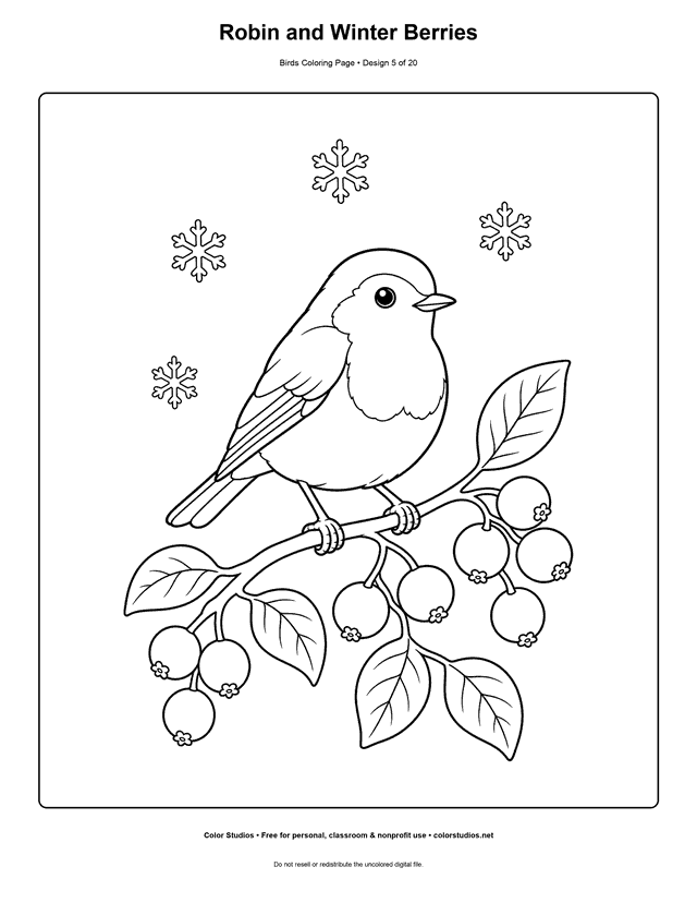Robin and Winter Berries printable bird coloring page for kids.