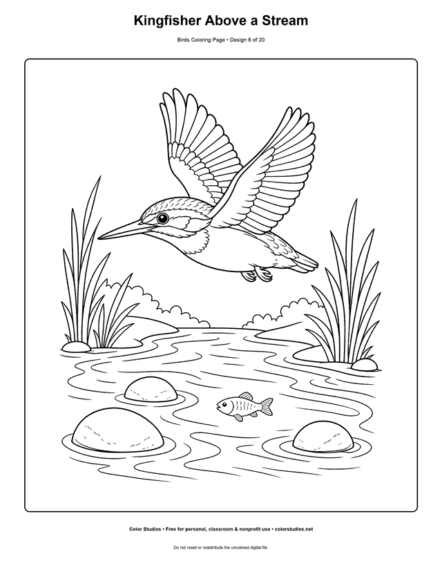 Kingfisher Above a Stream printable bird coloring page for kids.