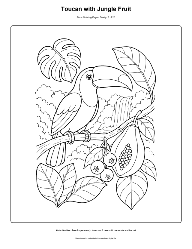 Toucan with Jungle Fruit printable bird coloring page for kids.