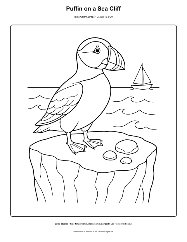 Puffin on a Sea Cliff printable bird coloring page for kids.