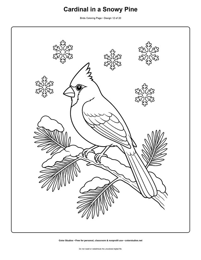 Cardinal in a Snowy Pine printable bird coloring page for kids.