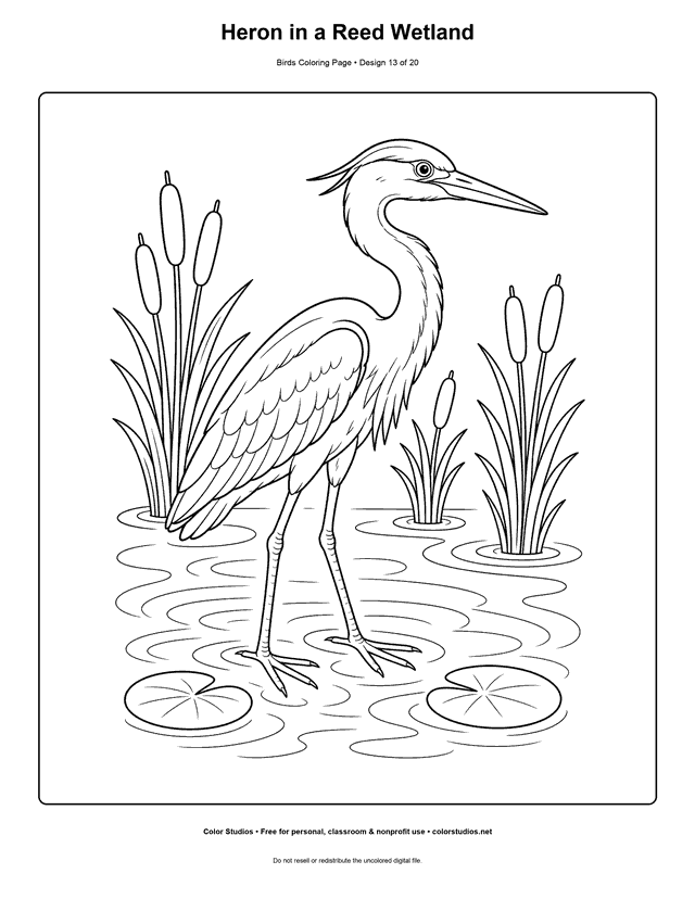 Heron in a Reed Wetland printable bird coloring page for kids.