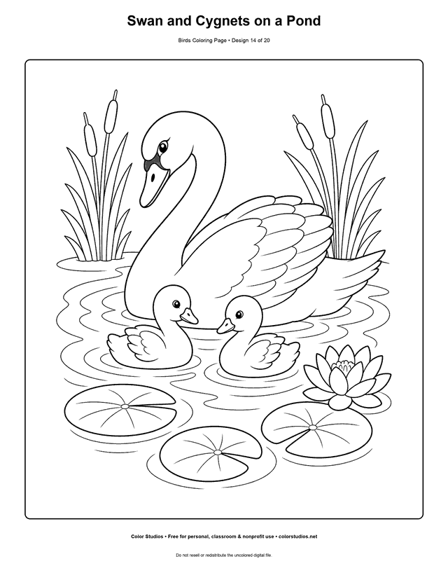 Swan and Cygnets on a Pond printable bird coloring page for kids.