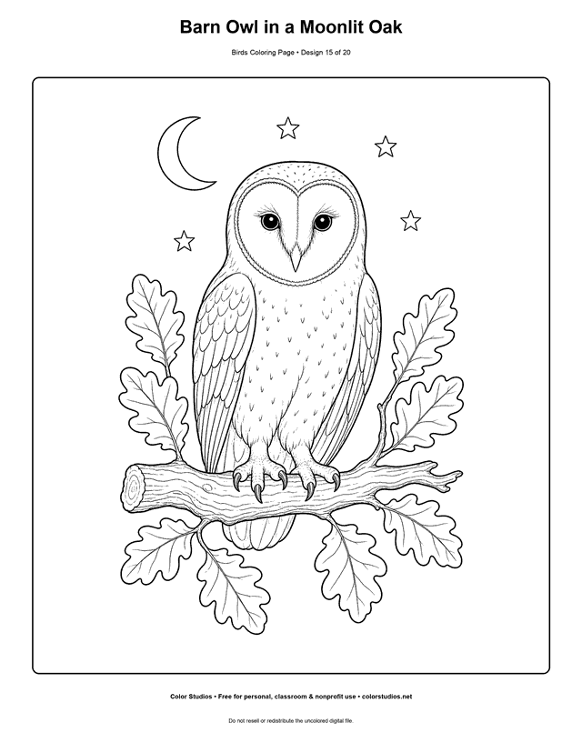 Barn Owl in a Moonlit Oak printable bird coloring page for kids.