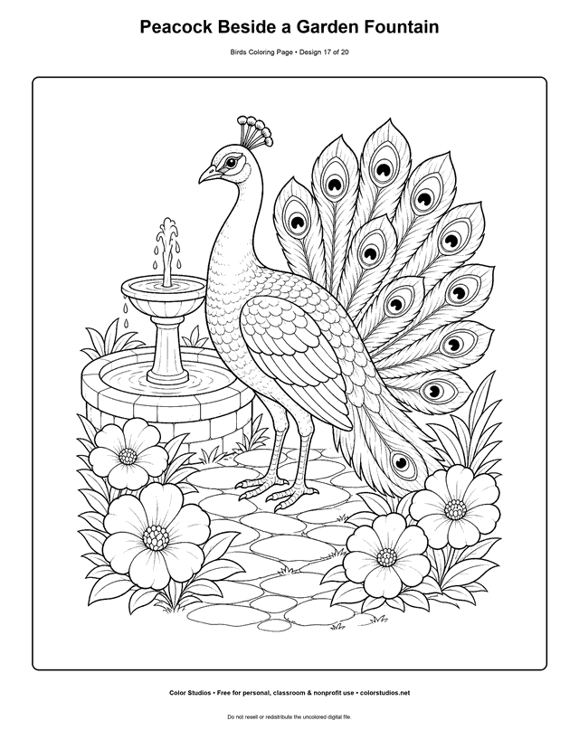 Peacock Beside a Garden Fountain printable bird coloring page for kids.
