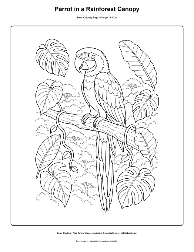Parrot in a Rainforest Canopy printable bird coloring page for kids.