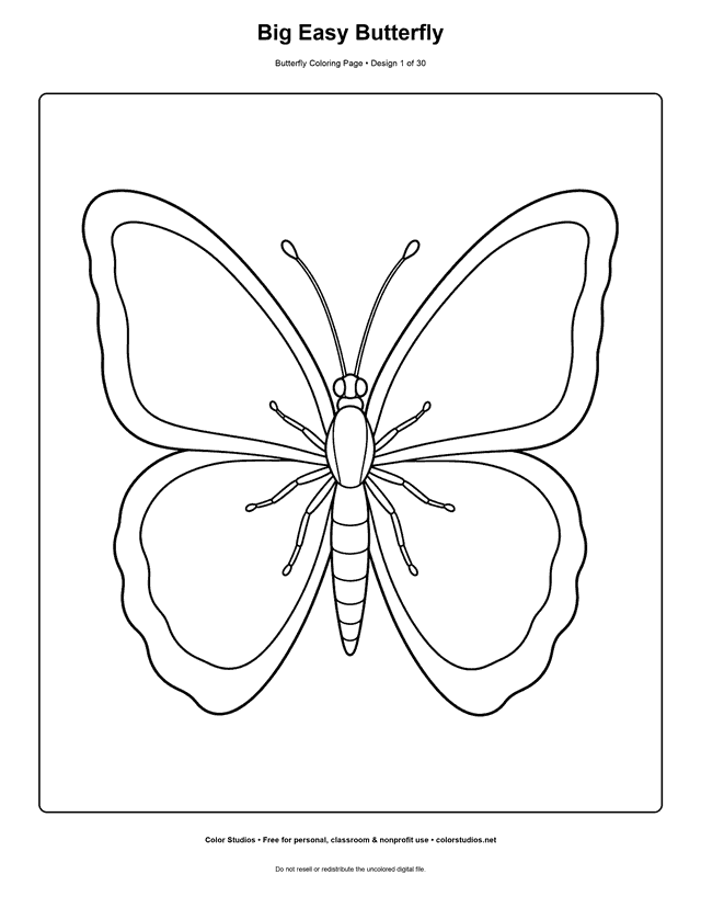 Preview of an original butterfly coloring page