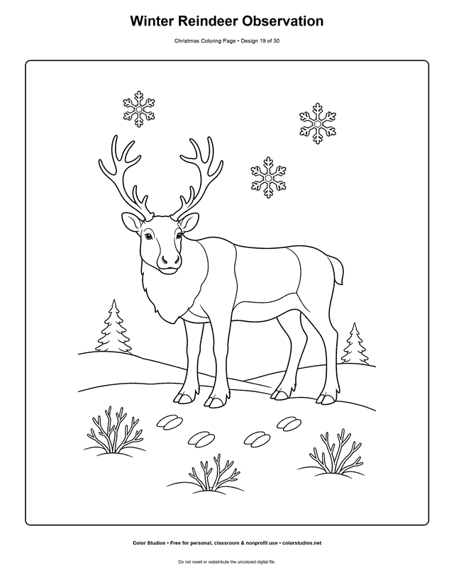Realistic adult reindeer standing on a snowy ridge nature coloring page.