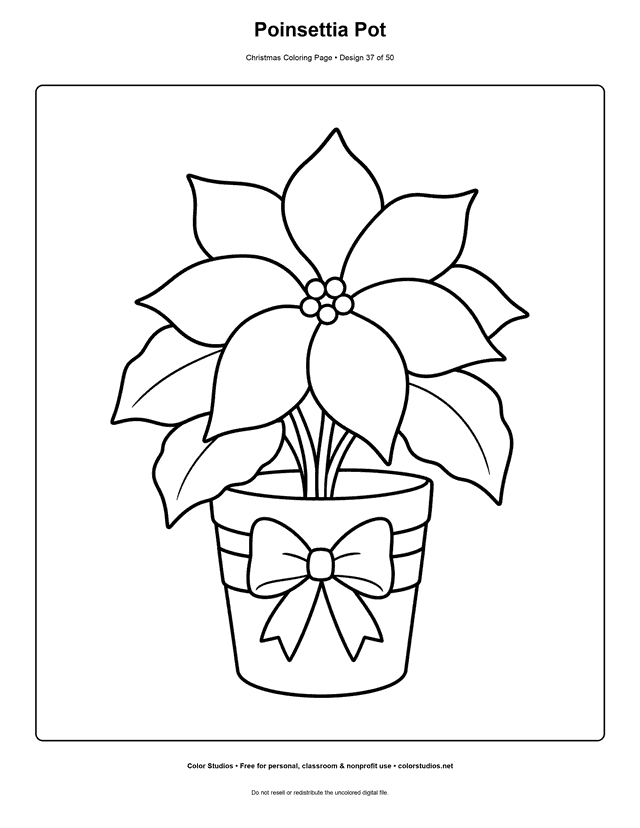 Large poinsettia plant in a ribboned pot coloring page.