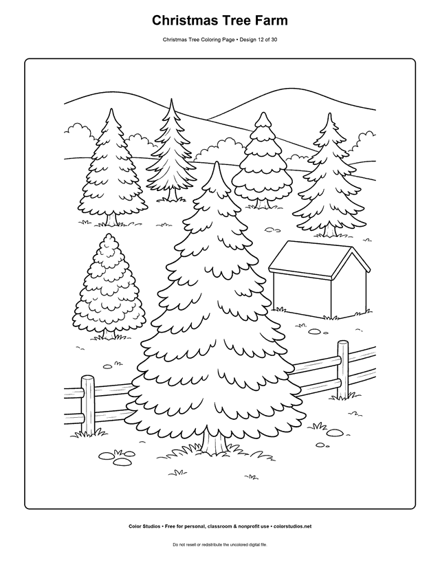 Christmas tree farm with rows of evergreens coloring page.