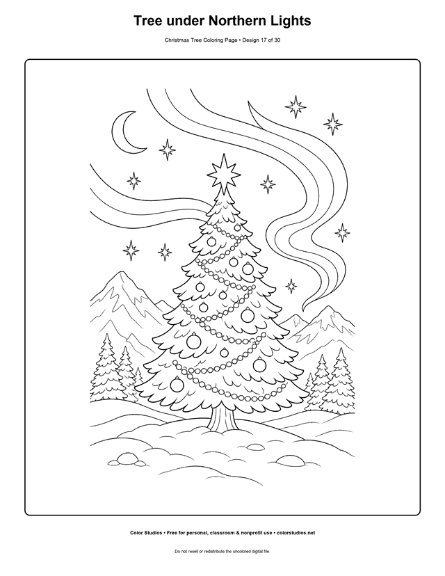Evergreen beneath northern lights coloring page.