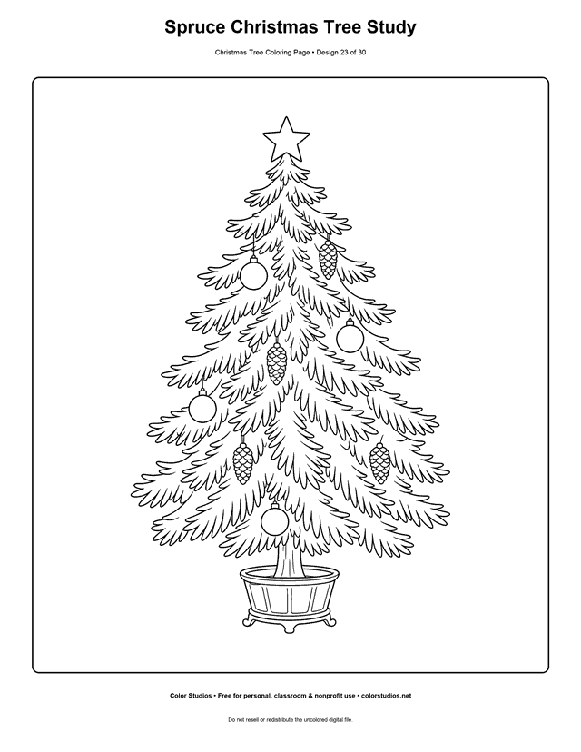 Spruce Christmas tree with hanging cones coloring page.