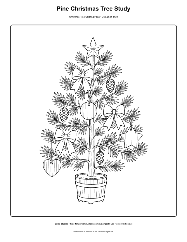 Pine Christmas tree with cones and bows coloring page.