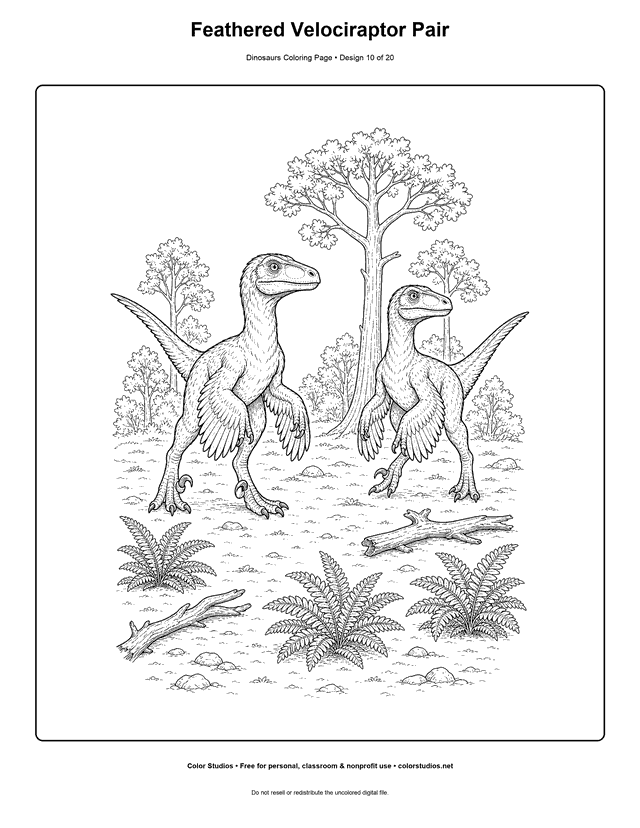 Feathered Velociraptor Pair free printable dinosaurs coloring page for kids.