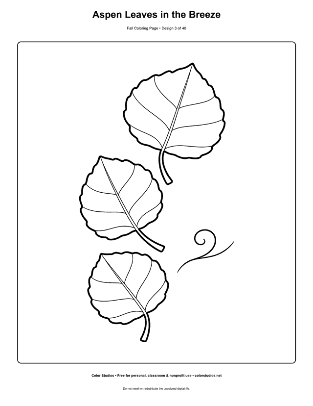 Three quaking aspen leaves blowing in a gentle autumn breeze coloring page.