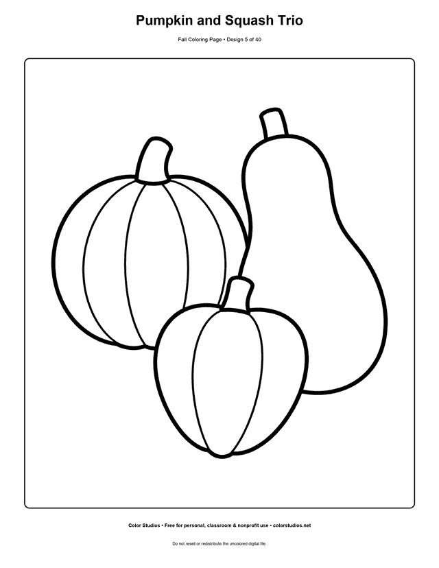Uncarved field pumpkin, butternut squash, and acorn squash coloring page.