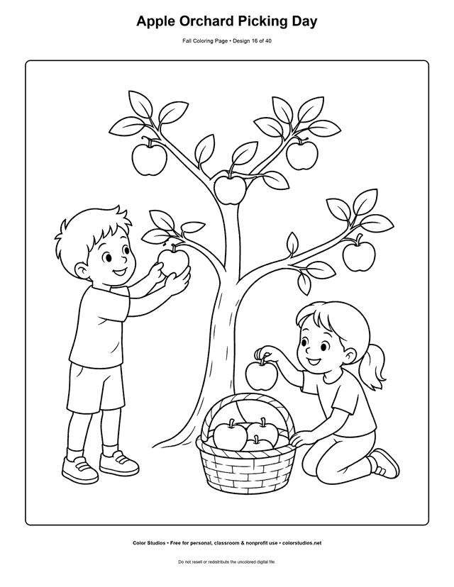 Two children safely picking apples from a low orchard tree coloring page.