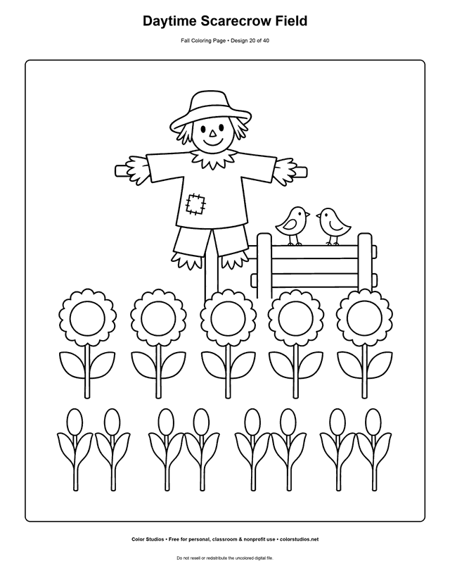 Farm scarecrow among corn rows and sunflowers on a bright autumn day coloring page.