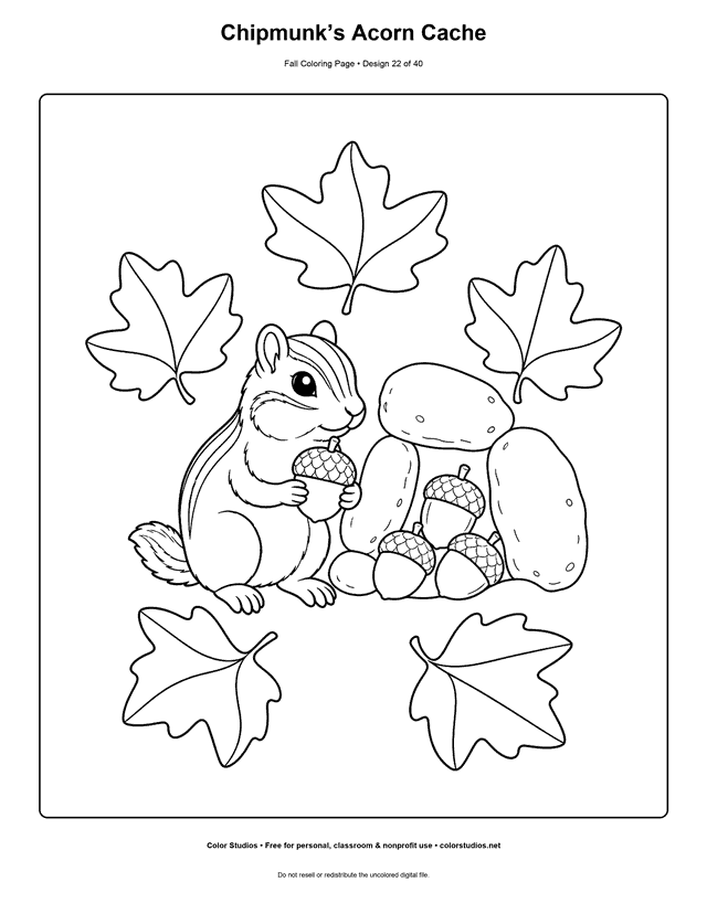 Striped chipmunk storing acorns beside a stone wall coloring page.