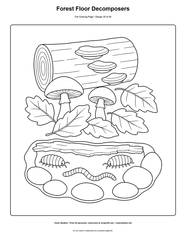 Fallen log with shelf fungi, mushrooms, earthworm, pill bugs, and autumn leaf litter coloring page.