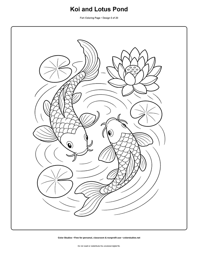 Koi and Lotus Pond printable fish coloring page for kids.