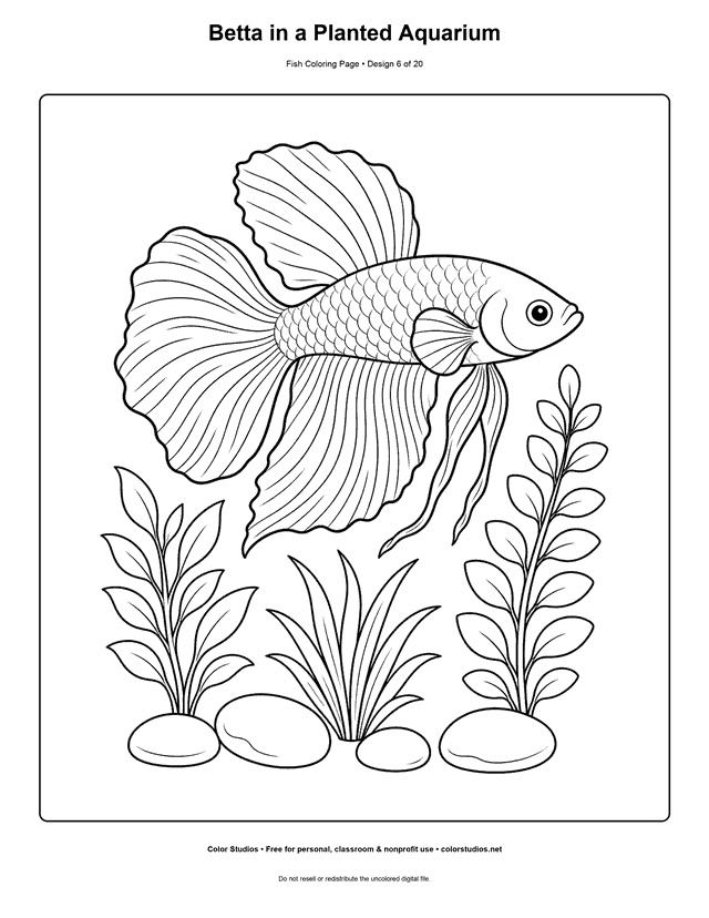 Betta in a Planted Aquarium printable fish coloring page for kids.