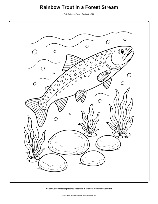 Rainbow Trout in a Forest Stream printable fish coloring page for kids.