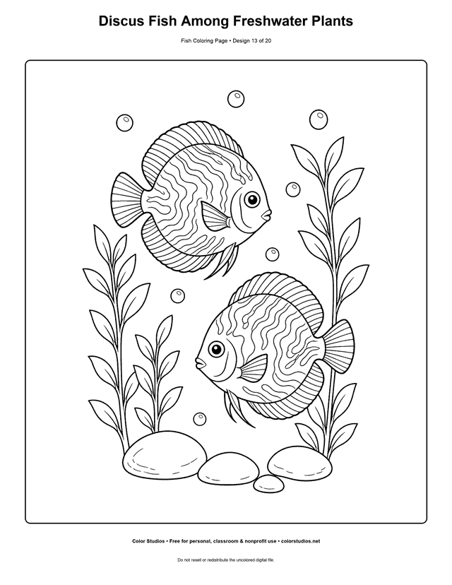 Discus Fish Among Freshwater Plants printable fish coloring page for kids.