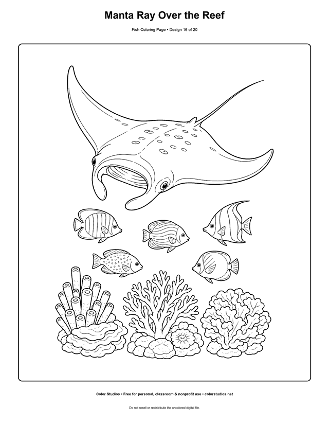 Manta Ray Over the Reef printable fish coloring page for kids.