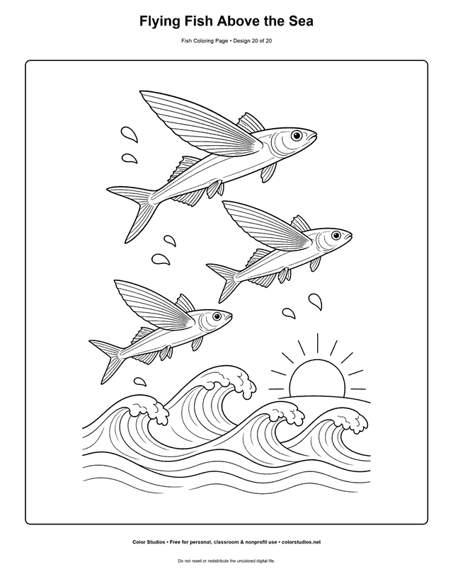Flying Fish Above the Sea printable fish coloring page for kids.