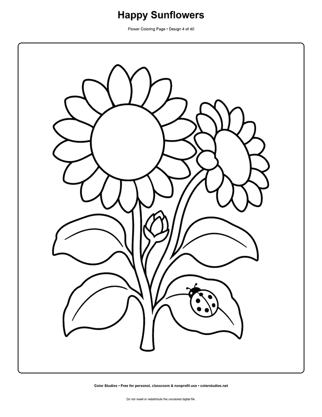 Two simple sunflowers with a bud and ladybug easy coloring page.