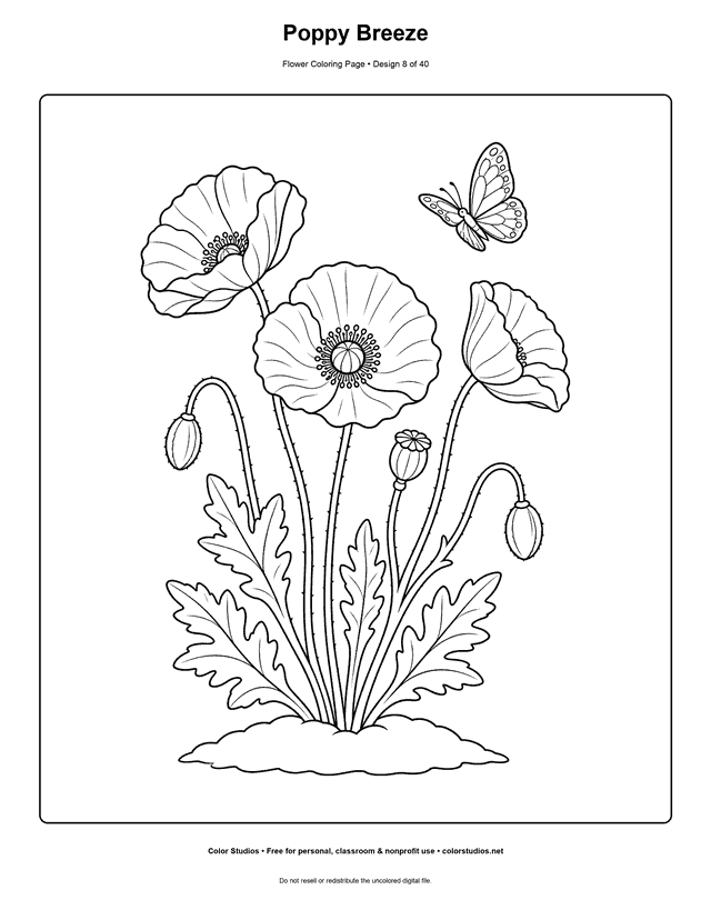 Three poppies bending in a breeze with buds, seedpod, and butterfly coloring page.