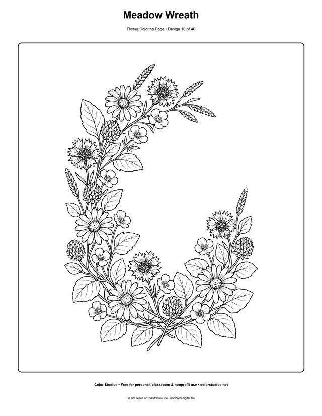 Detailed open meadow wreath of daisies, cornflowers, buttercups, clover, and grasses coloring page.