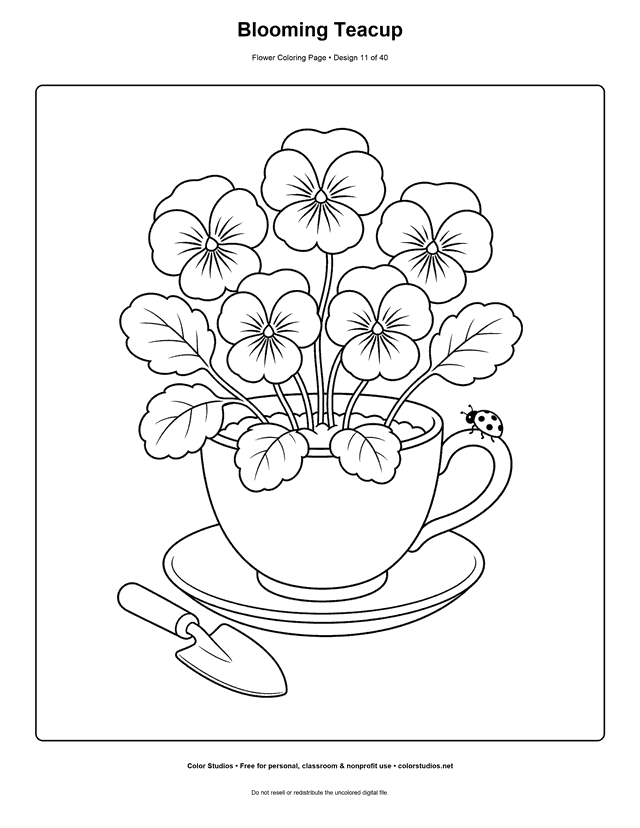 Pansy flowers growing in a teacup planter with a trowel and ladybug coloring page.