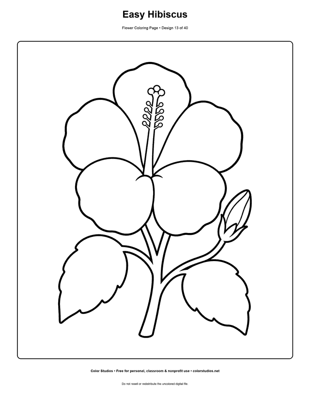 Easy hibiscus flower with five large petals, a bud, and two broad leaves coloring page.