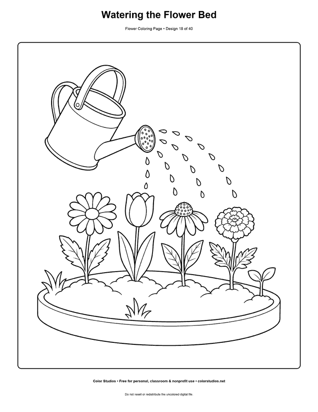 Watering can sprinkling a daisy, tulip, coneflower, layered bloom, and seedling in a garden bed coloring page.