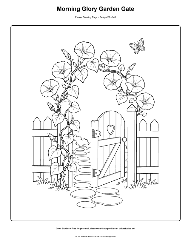 Open wooden garden gate beneath an arch of morning glory flowers and heart-shaped leaves coloring page.