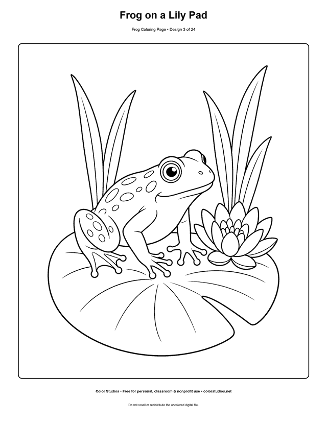 Frog on a Lily Pad free printable frog coloring page.
