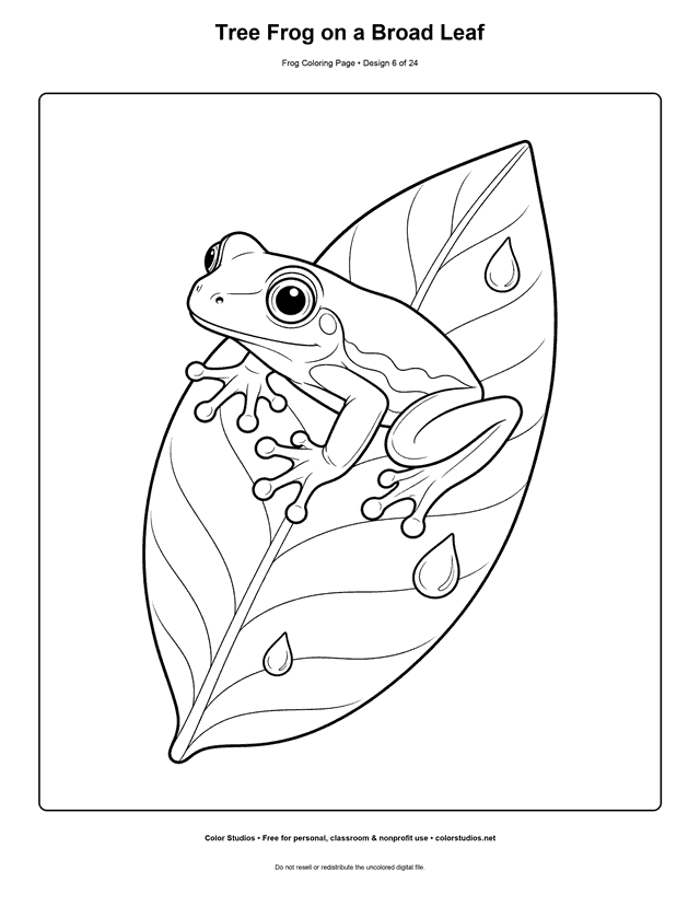 Tree Frog on a Broad Leaf free printable frog coloring page.