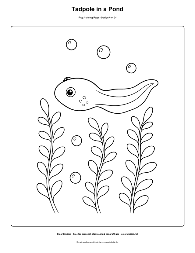 Tadpole in a Pond free printable frog coloring page.