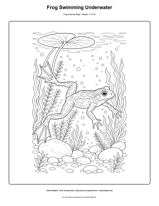 Frog Swimming Underwater free printable frog coloring page.