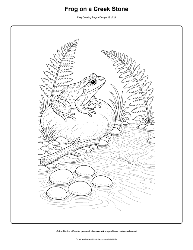Frog on a Creek Stone free printable frog coloring page.