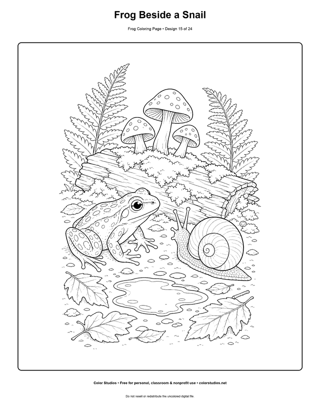 Frog Beside a Snail free printable frog coloring page.