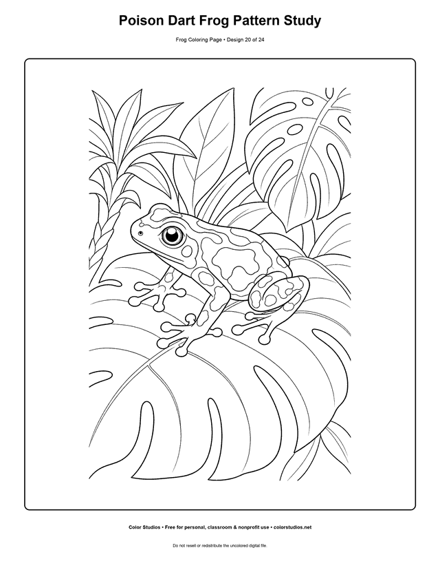 Poison Dart Frog Pattern Study free printable frog coloring page.