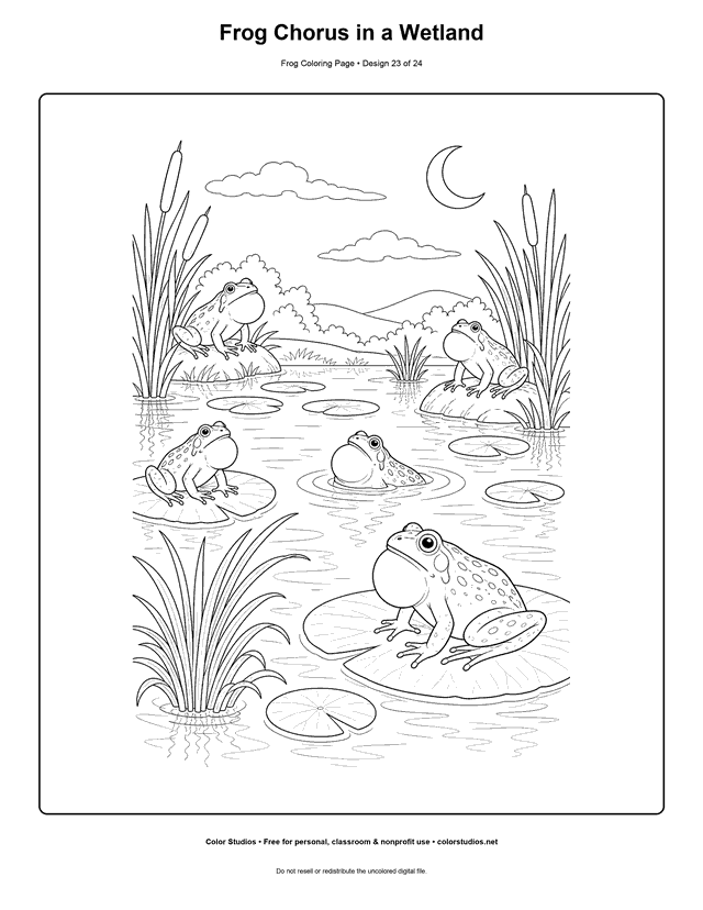 Frog Chorus in a Wetland free printable frog coloring page.