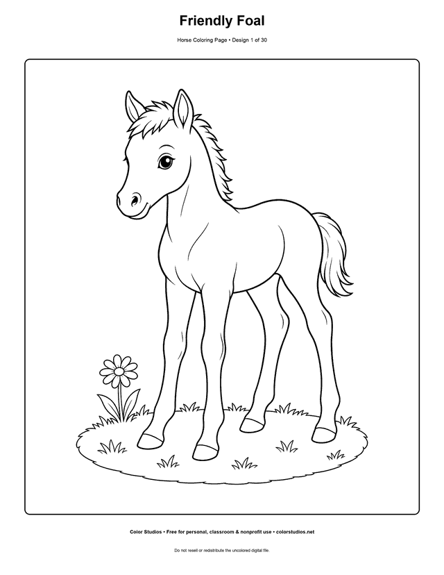 Original friendly foal horse coloring page preview