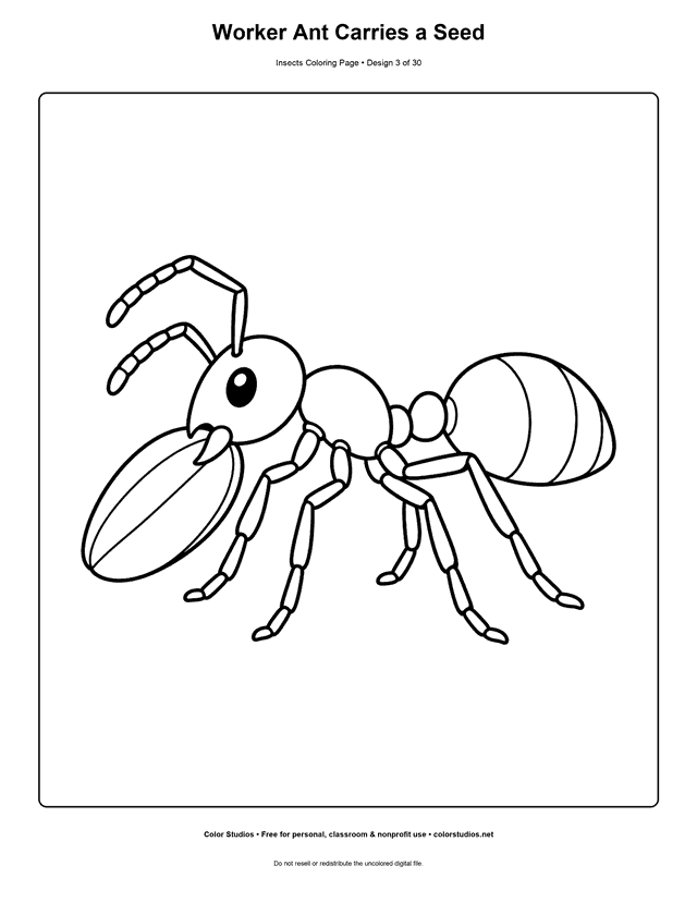 Easy worker ant carrying a seed coloring page.