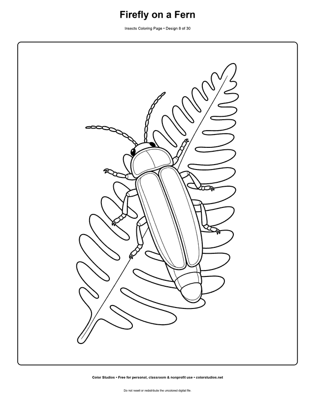 Easy firefly beetle with an outlined lantern resting on a fern coloring page.